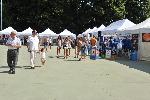 BeachVolley